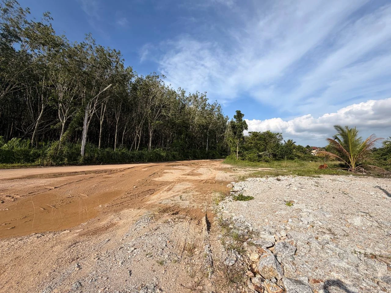 Site access & green surroundings